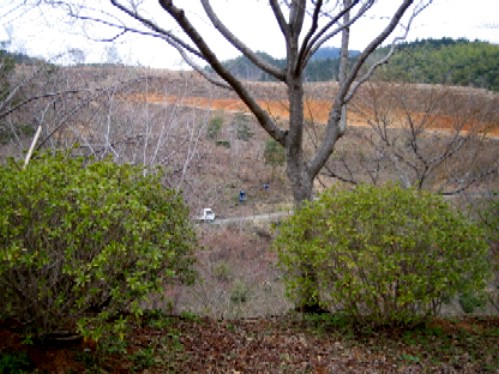 f0085369_0581052.jpg