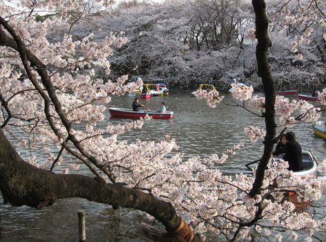 井の頭公園_b0003474_12102424.jpg