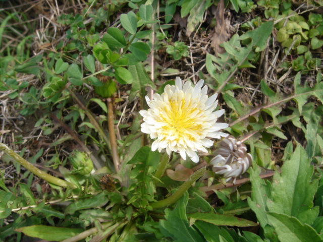 e0054682_20142791.jpg