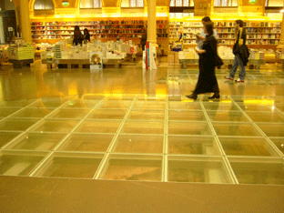 e0080090_1759314.gif
