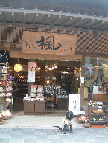 c0017311_1330463.jpg