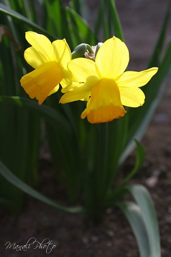 e0080212_0114033.jpg