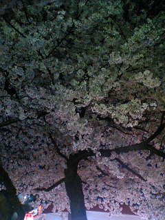 a0052916_112549.jpg