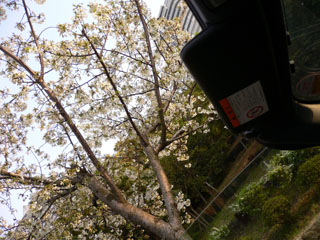 d0017527_21435645.jpg