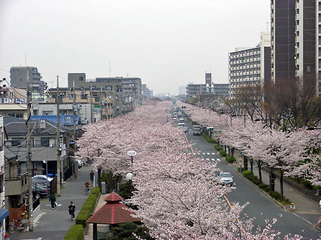 c0019930_19434514.jpg