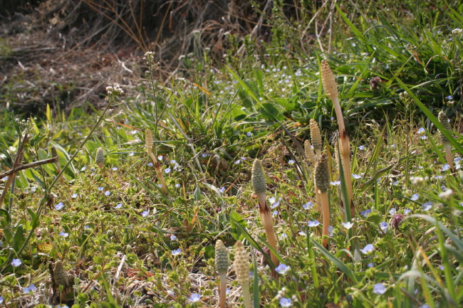 f0017530_20554326.jpg