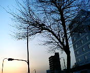 e0066235_21374292.jpg