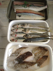 ストックづくり_f0082141_1956455.jpg