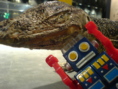 e0005548_3174937.jpg