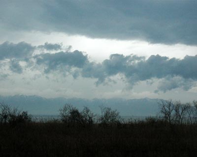 e0035757_023048.jpg