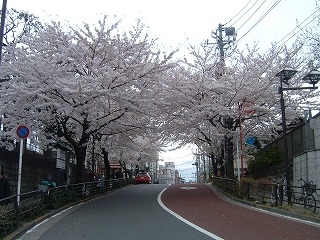 b0059860_1347566.jpg