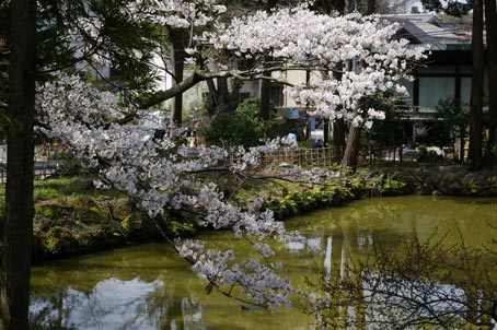 06年春・北鎌倉匠の市②１日は晴天、2日も市を開催_c0014967_12211025.jpg