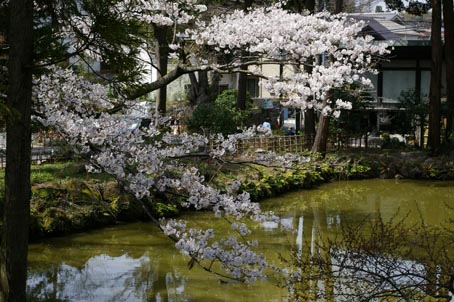 06年春・北鎌倉匠の市②１日は晴天、2日も市を開催_c0014967_12211025.jpg