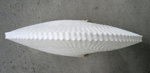 b0068572_20331760.jpg