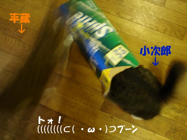 a0047874_2040562.jpg