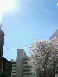 b0035275_96282.jpg