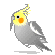 e0027078_20295293.gif