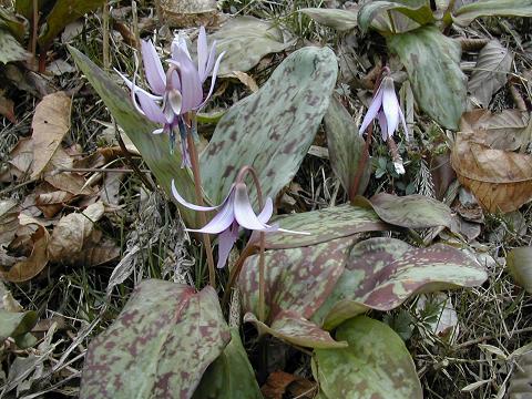 b0032079_0131756.jpg