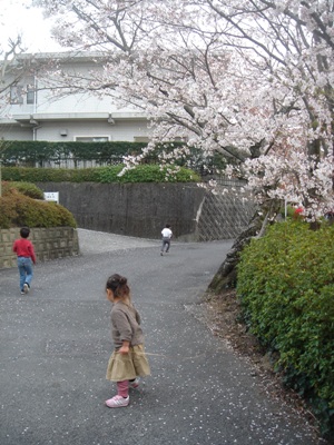 c0046281_7583669.jpg