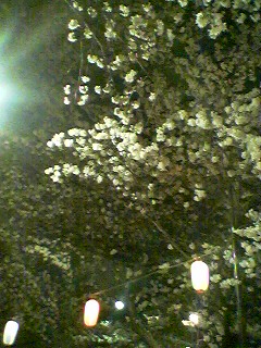 c0064381_1191672.jpg