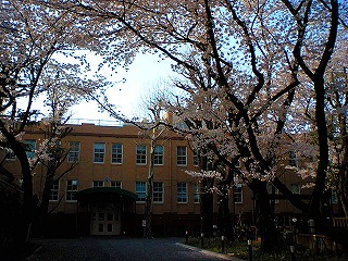 花見ラン_a0036808_0292526.jpg