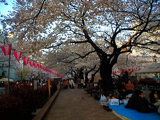花見ラン_a0036808_0362510.jpg