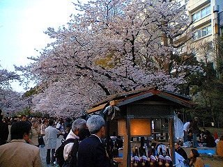 花見ラン_a0036808_0432537.jpg