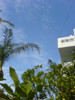 f0101613_9381442.jpg