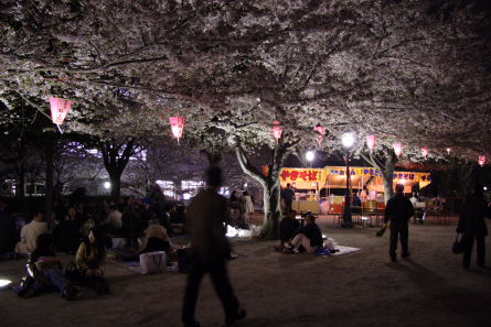 夜桜を眺めつつ帰る_f0085214_2234595.jpg
