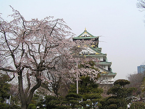 桜ノ宮から天王寺　３_a0037019_7133573.jpg