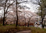 e0042620_14491814.jpg