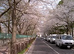 e0042620_14522886.jpg