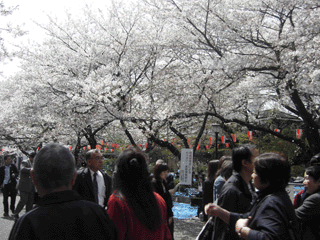 a0062133_135538.gif
