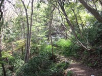 e0006048_17104095.jpg