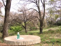 e0006048_17124865.jpg