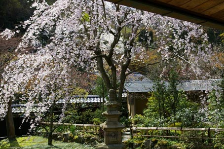 匠の市同時開催イベント「お寺ｄｅコンサート」東慶寺、浄智寺_c0014967_115412.jpg