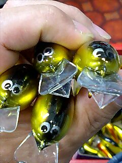 瞳_a0040876_231254.jpg
