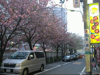 目黒川沿いの桜も咲き、いよいよ来週末は、春の宴(うたげ)_f0033986_15165148.jpg