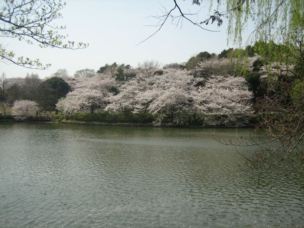 b0054391_16254584.jpg