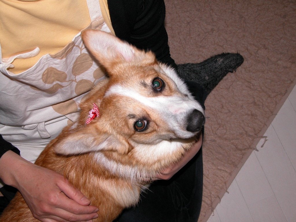 f0075595_0314479.jpg