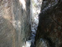 e0013408_5594137.jpg