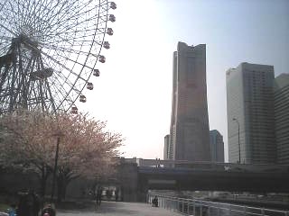 a0049614_10413065.jpg