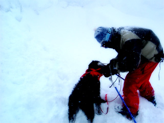 冬の締めくくりは犬とスキー_d0052419_1232595.jpg