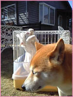 c0060620_22471497.jpg