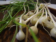 c0004024_6563290.jpg