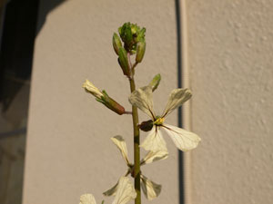 d0042049_212159.jpg