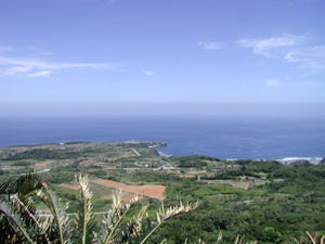 e0002951_13542571.jpg