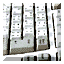 a0031155_9555363.gif