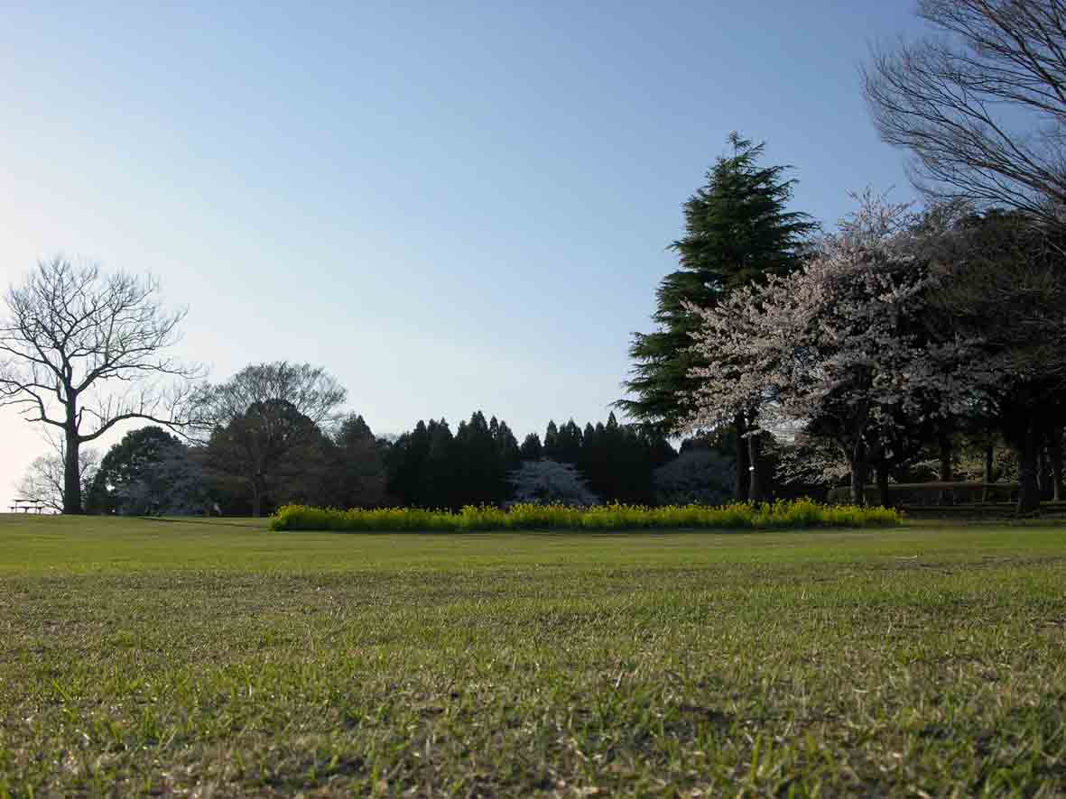 春合宿終了_f0036759_22253446.jpg