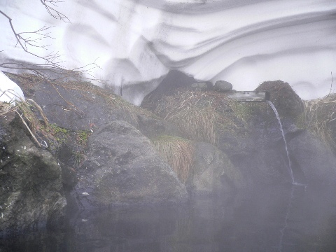 b0068572_21231939.jpg